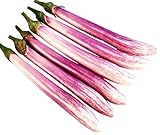 Chinese, Eggplant Seed - The Bride - 300 Heirloom Seeds - Non GMO - Neonicotinoid-Free photo / $9.99