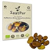SaatPur Bio Keimsprossen - Puffbohne - Keimsaat für die Sprossenzucht zuhause - 50g foto / 3,99 € (79,80 € / kg)