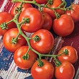 Burpee 'Fourth of July' Hybrid | Red Slicing Tomato | 50 Seeds photo / $8.75