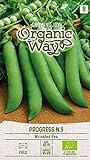 Organic Way | MARKERBSE PROGRESS N.9 samen | Gemüsesamen | Erbsensamen | Frühe Sorte | 1 Pack foto / 2,88 € (2,88 € / stück)