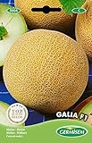 Germisem Melone GALIA F1, mehrfarbig, EC5004 foto / 3,68 €
