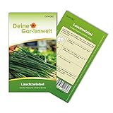 Lauchzwiebeln Tonda musona Samen - Allium cepa - Lauchzwiebelnsamen - Gemüsesamen - Saatgut für 100 Pflanzen foto / 1,99 € (0,02 € / stück)