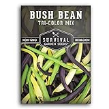 Survival Garden Seeds - Tri-Color Bean Seed for Planting - Packet with Instructions to Plant and Grow Yellow, Purple, and Green Bush Beans in Your Home Vegetable Garden - Non-GMO Heirloom Variety photo / $4.99