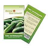 Salat- und Einlegegurke Delikateß Samen - Cucumis sativus - Gurkensamen - Gemüsesamen - Saatgut für 10 Pflanzen foto / 1,99 € (0,20 € / stück)