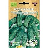 Germisem Orgánica Petit de Paris Semillas de Pepino 2 g foto / 3,99 €