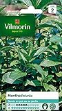 Vilmorin - Menthe poivrée - Plante médicinale et aromatique - idéal pour parfumer cocktails et salades - développement important photo / 5,85 €