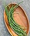 photo Burpee Yardlong Asparagus Pole Bean Seeds 1 ounces of seed
