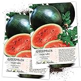 Seed Needs, Sugar Baby Watermelon (Citrullus lanatus) Twin Pack of 100 Seeds Each Non-GMO photo / $4.85 ($0.05 / Count)