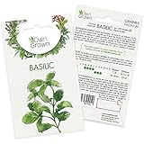 Graines de basilic (Ocimum basilicum), semences de basilic cultivé OwnGrown, Semis pour environ 300 plantes photo / 2,95 € (2,95 € / unité)