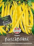 80002 Sperli Premium Buschbohnen Samen Berggold | Ertragreich | Fadenlos | Buschbohnen Samen ohne Fäden | Ackerbohnen Saatgut foto / 3,48 € (3,48 € / count)