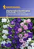 Sperli Blumensamen Glockenblume Marien-Prachtmischung, grün foto / 3,02 €