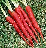 Atomic Red Carrots, 250 Heirloom Seeds Per Packet, Non GMO Seeds, (Isla's Garden Seeds), Botanical Name: Daucus Carrota, 80% Germination Rates photo / $5.99 ($0.02 / Count)