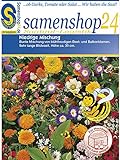 Samenshop24´s Bienenfreude, niedrige Blumenmischung (1 Stück) foto / 2,49 € (2,49 € / Stück)