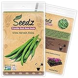 Organic Green Bean Seeds, APPR. 125, Green Bean, Heirloom Vegetable Seeds, Certified Organic, Non GMO, Non Hybrid, USA photo / $7.88