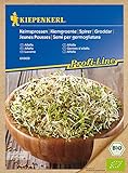 Bio Keimsprossen verschiedene Sorten Alfalfa Radies Brokkoli Weizen Rauke Linsen Zwiebel (Alfalfa) foto / 4,13 €