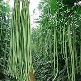 100 Pcs Snake/Yard-Long Asparagus Pole Bean Seeds Heirloom Non-GMO Seeds,for Growing Seeds in The Garden or Home Vegetable Garden photo / $7.99