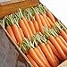 photo David's Garden Seeds Carrot Napoli 1122 (Orange) 200 Non-GMO, Hybrid Seeds