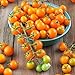 photo Sun Gold Hybrid Tomato Seeds (40 Seed Pack)
