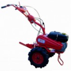 Салют 100-К-М1 / walk-bak traktoren bilde
