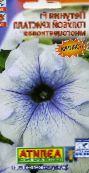 fotografija Vrtno Cvetje Petunia svetlo modra