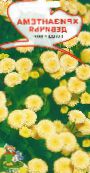 photo les fleurs du jardin Tanacetum Parthenium, Matricaria parthenium (Tanacetum parthenium) jaune