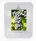 SEMI PLAT FIRM-1 Professional Service Pack, 100 semi/pack, St. Croix nero di semi d'uva Hardy dolce frutta piantine di piante # NF459 foto / EUR 12,99