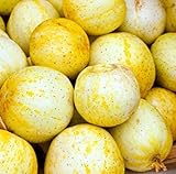 Farmerly 30 Organic Lemon cetriolo Semi Heirloom Non-GMO croccante dolce fragrante gialle foto / 