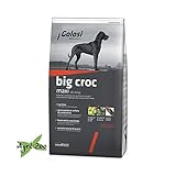 GOLOSI DOG - BIG CROC MAXI 12 Kilogramm crocchette per cani di taglia grande foto / EUR 29,25