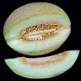 Portal Cool 10 - Semi: semi di melone Charlynne - Molto dolce, cremoso e aromatico, morbido e succoso. !!!! foto / EUR 9,99
