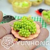 Pinkdose Nuovo Bonsai!Bonsai D'uva in Miniatura, Patio Syrah, Vitis Vinifera, Pianta d'appartamento, 50 PCS/Pack, Bonsai di Frutta, 13BG80 foto / 