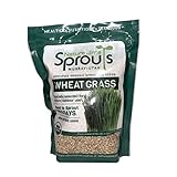 Nature Jims Sprouts Wheatgrass Seeds - 100% Organic Wheat Grass Seed for Sprouting - Cat Grass Planter Seeds, Rich in Vitamins, Fiber and Minerals - Non-GMO, Healthy Wheatgrass Sprout Growing Seed photo / $12.50