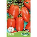 Germisem Roma Semillas de Tomate 1 g, EC8011 foto / 2,21 €