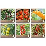 Samenliebe BIO Cherrytomaten Samen Set mit 6 samenfesten Gemüsesamen Sorten für Gewächshaus Freiland und Balkon Tomaten BIO Gemüse Saatgut foto / 15,99 € (2,66 € / stück)