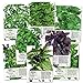 photo Basil Seed Packet Collection (8 Individual Seed Packets) Non-GMO Seeds by Seed Needs