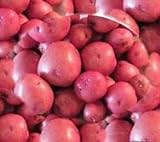 Seed Potatoes for Planting - Red LaSoda -5lbs. photo / $27.00 ($0.34 / Ounce)