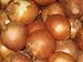photo Onion Seeds- Sweet Yellow Spanish Heirloom- 250+ Seeds