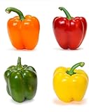 100 Piezas Rojo Verde Amarillo Naranja Mixto Semillas De Pimiento Morrón Para Plantar Al Aire Libre Cree Un Espléndido Jardín De Verduras Brillantes Amado Por Todos foto / 4,97 €