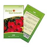 Lein rot Samen - Linum grandiflorum - Leinsamen - Blumensamen - Saatgut für 70 Pflanzen foto / 1,99 € (0,03 € / stück)