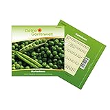 Markerbsen Bördi Samen - Pisum sativum - Erbsensamen - Gemüsesamen - Saatgut für 50 Pflanzen foto / 1,99 € (0,04 € / stück)