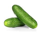 Spacemaster Cucumber Seeds, 100+ Heirloom Seeds Per Packet, (Isla's Garden Seeds), Non GMO Seeds, Botanical Name: Cucumis sativus, 85% Germination Rates photo / $5.99 ($0.06 / Count)