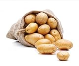 Kartoffel Belana festkochend 10kg deutsche Speisekartoffel foto / 9,90 € (0,99 € / kg)
