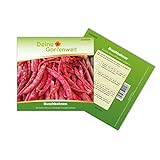 Buschbohnen Borlotto Rosso Samen - Phaseolus vulgaris - Bohnensamen - Gemüsesamen - Saatgut für 30 Pflanzen foto / 2,99 € (0,10 € / stück)