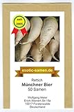 Rettich - Münchner Bier (50 Samen) foto / 1,80 €