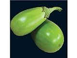25 APPLEGREEN EGGPLANT Green Fruit / Vegetable Solanum Melongena Seeds photo / $3.00 ($0.12 / Count)