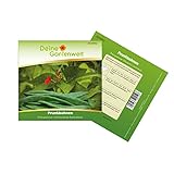 Prunkbohnen Preisgewinner Samen - Phaseolus coccineus - Bohnensamen - Gemüsesamen - Saatgut für 15 Pflanzen foto / 2,99 € (0,20 € / stück)