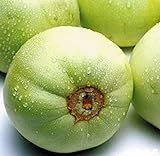 Sweet Melon Seeds (CHK) (Japanese New Mini Honeydew, 30 Seeds) photo / $9.95 ($0.33 / Count)