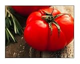 250 Beefsteak Tomato Seeds | Non-GMO | Fresh Garden Seeds photo / $6.99 ($0.03 / Count)