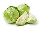 Late Flat Dutch Cabbage Seeds, 1000 Heirloom Seeds Per Packet, Non GMO Seeds, Botanical Name: Brassica oleracea VAR. capitata, Isla's Garden Seeds photo / $5.89 ($0.01 / Count)