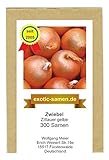 Zwiebel - Zittauer Gelbe (300 Samen) foto / 1,95 €