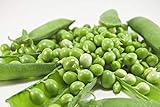 Early Frosty Pea Seeds, 50 Heirloom Seeds Per Packet, Non GMO Seeds, Isla's Garden Seeds photo / $5.99 ($0.12 / Count)